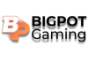 logo provider bigpot gaming